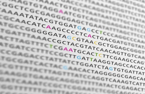 Lectura de secuencias de ADN para incrementar el progreso genético